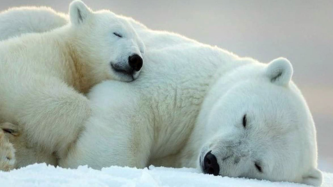 Healthy Sleeping Tips