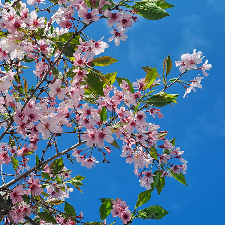 Reviews about Matakana Osteopaths